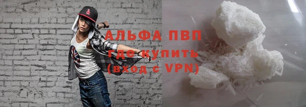 сатива Волоколамск