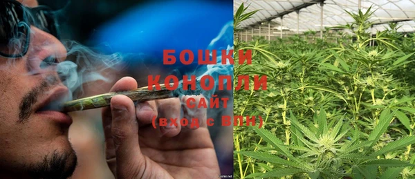 сатива Волоколамск
