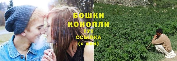 молекула духа Горняк