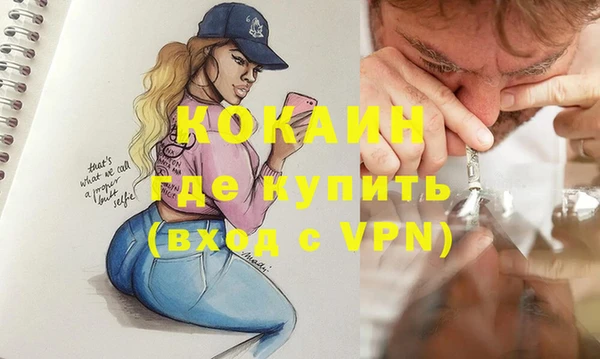 сатива Волоколамск