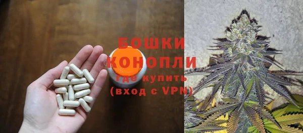 молекула духа Горняк