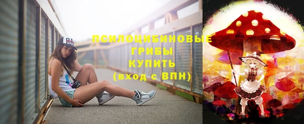 PSILOCYBIN Володарск