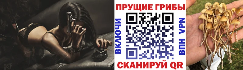 mega сайт  Завитинск  Псилоцибиновые грибы ЛСД 