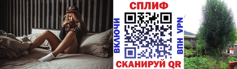 даркнет сайт  мориарти клад  Канабис OG Kush  Завитинск  hydra  
